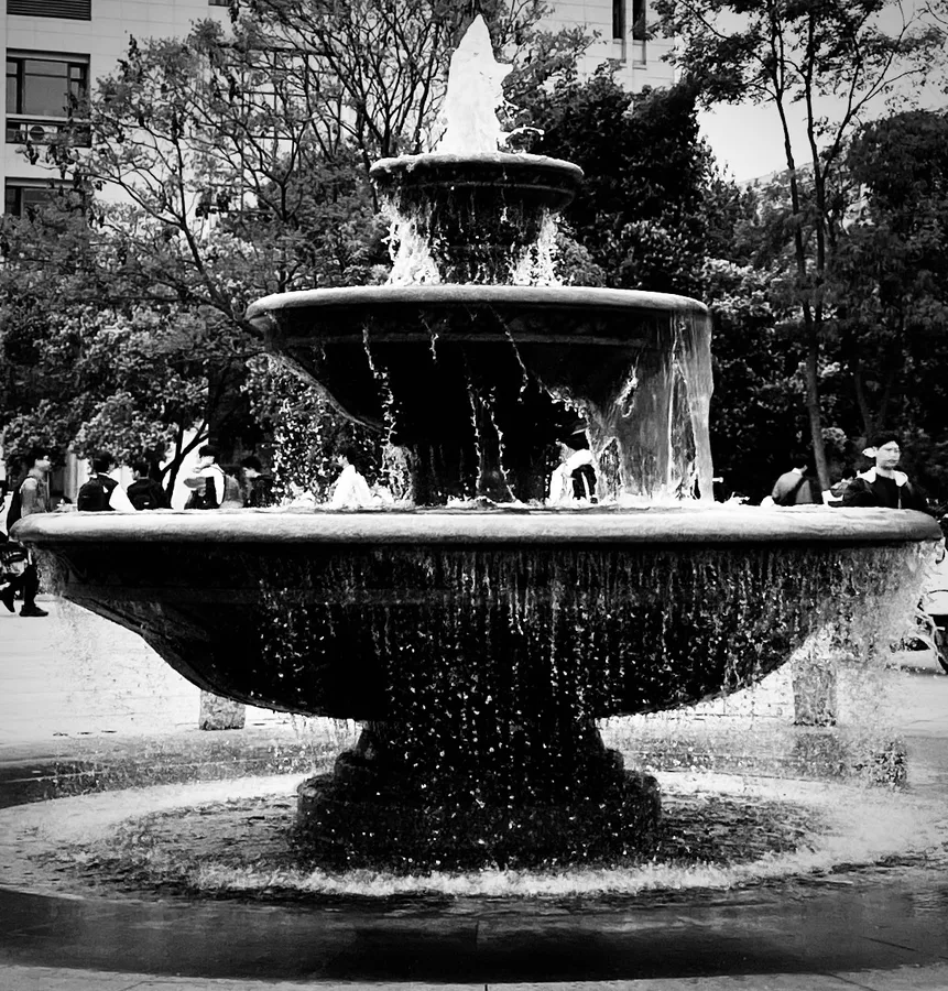 Photograph 38