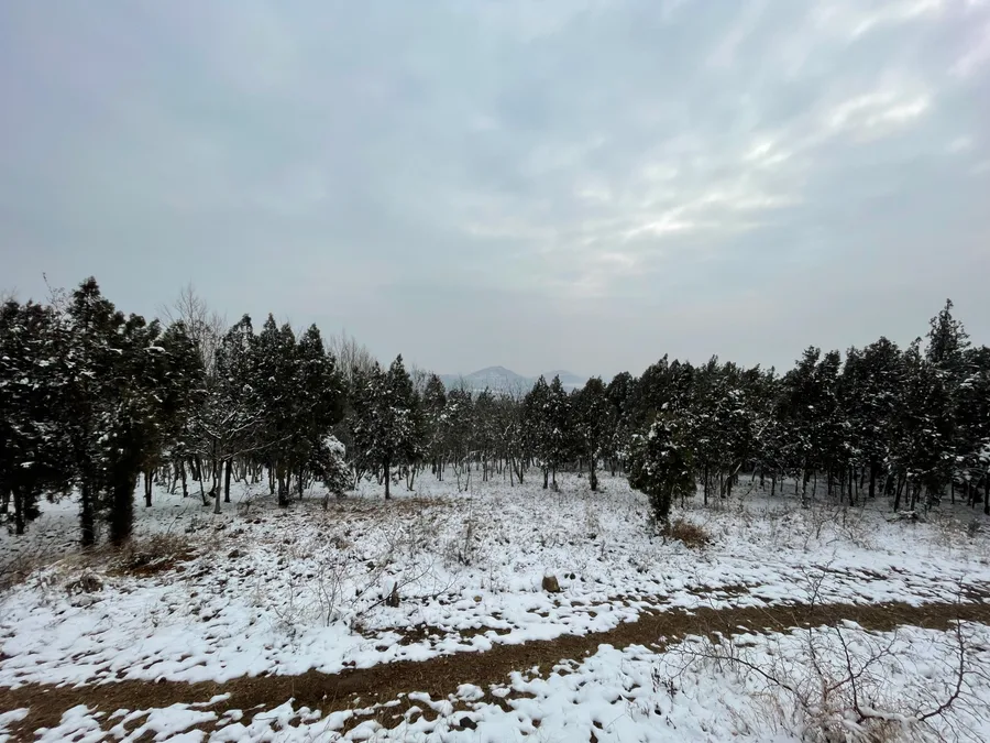 Photograph 37
