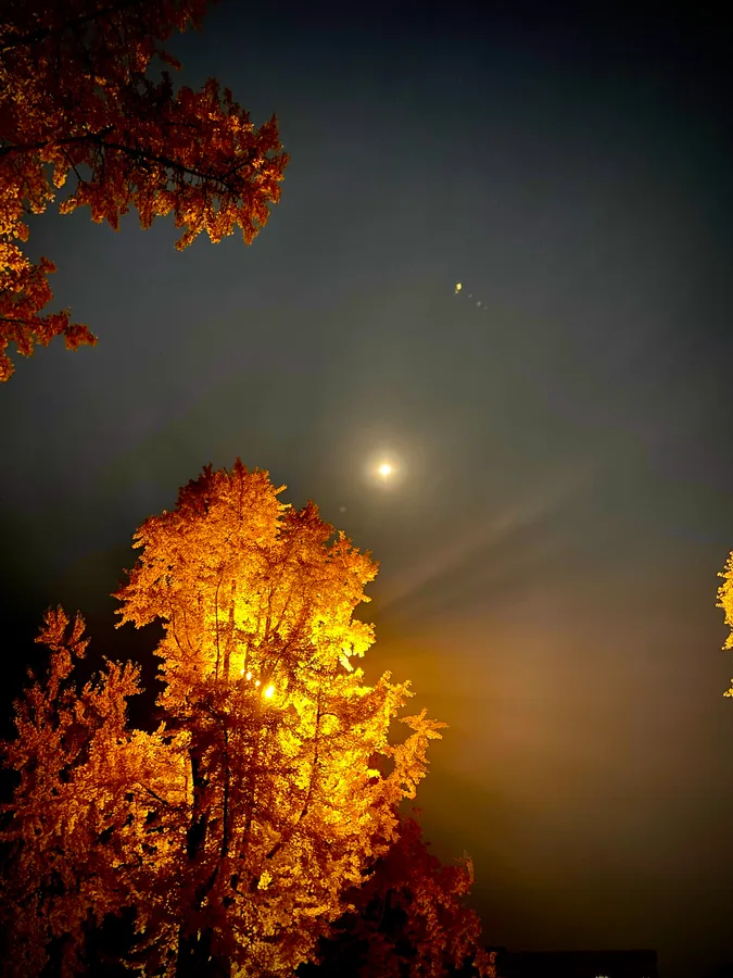 Photograph 33