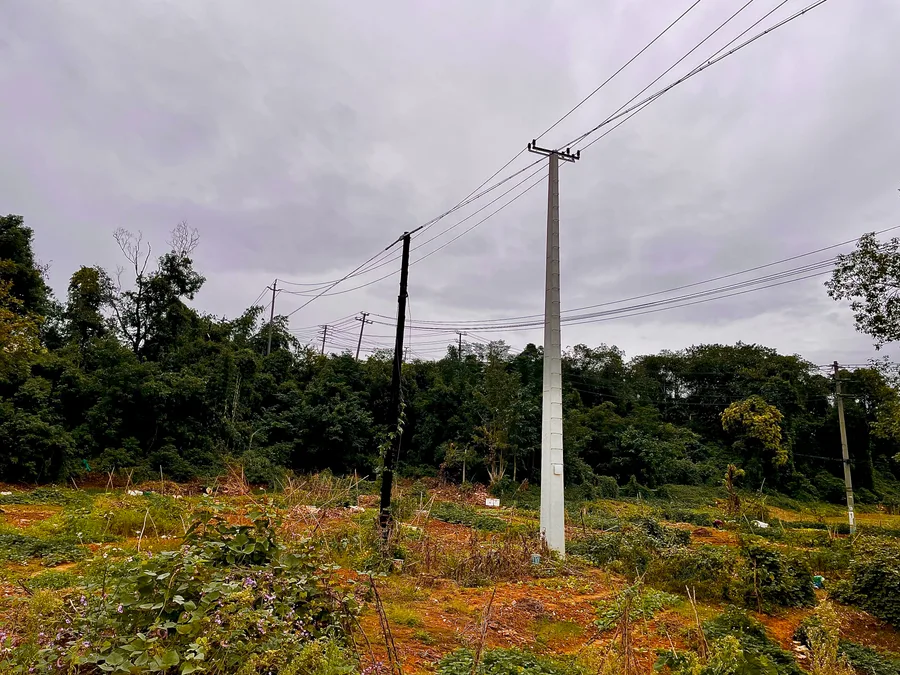 Photograph 31