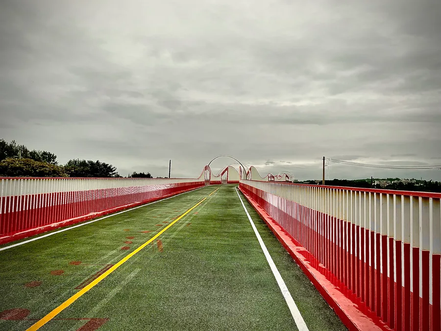 Photograph 29